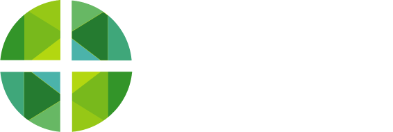  Raleigh Window Film
